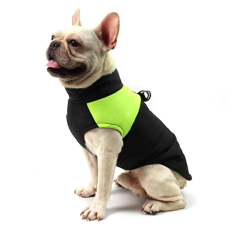 Winter Dog Accessories: Warm, Waterproof Dog Jacket for Small, Medium, Large Dogs / Rungear