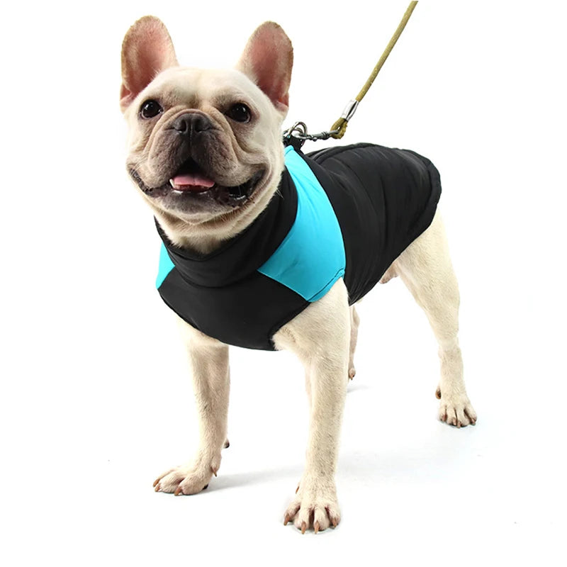 Winter Dog Accessories: Warm, Waterproof Dog Jacket for Small, Medium, Large Dogs / Rungear