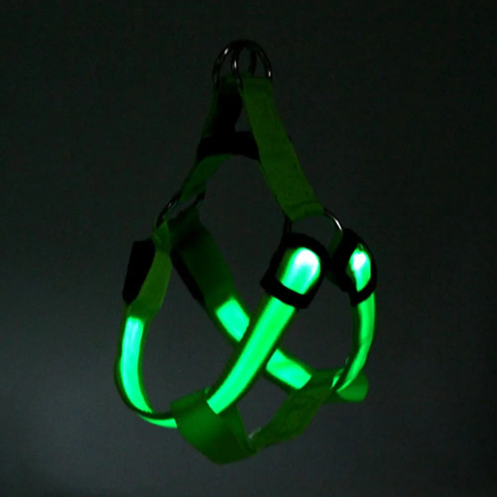 Dog Safety Gear: LED, Flashing Light, USB Rechargeable Chest Strap Harness XS, S, M, XL / Rungear