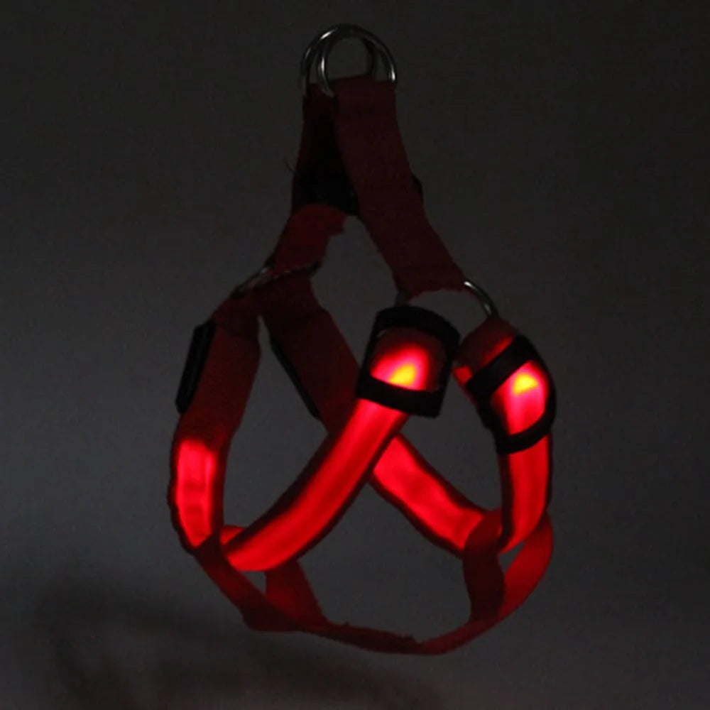 Dog Safety Gear: LED, Flashing Light, USB Rechargeable Chest Strap Harness XS, S, M, XL / Rungear