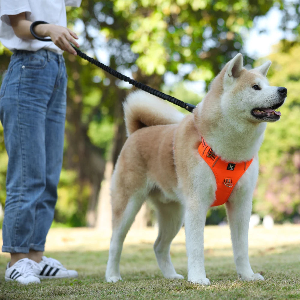Reflective Pet Accessories:  Dog Harness with Vertical Handle, Adjustable Dog Collars for Big Medium Dogs, 1000D Oxford Cloth / Rungear