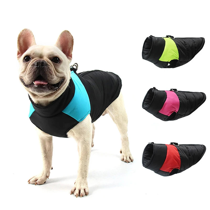 Winter Dog Accessories: Warm, Waterproof Dog Jacket for Small, Medium, Large Dogs / Rungear