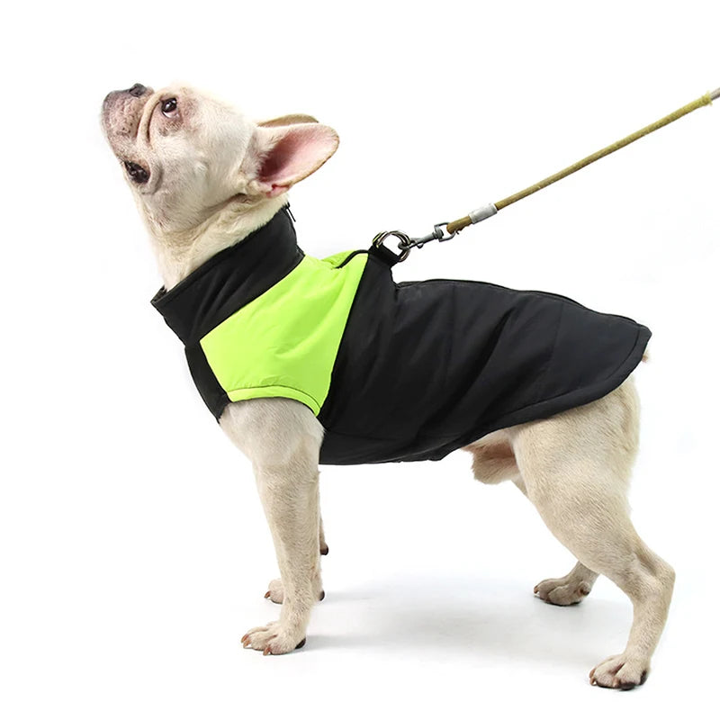 Winter Dog Accessories: Warm, Waterproof Dog Jacket for Small, Medium, Large Dogs / Rungear