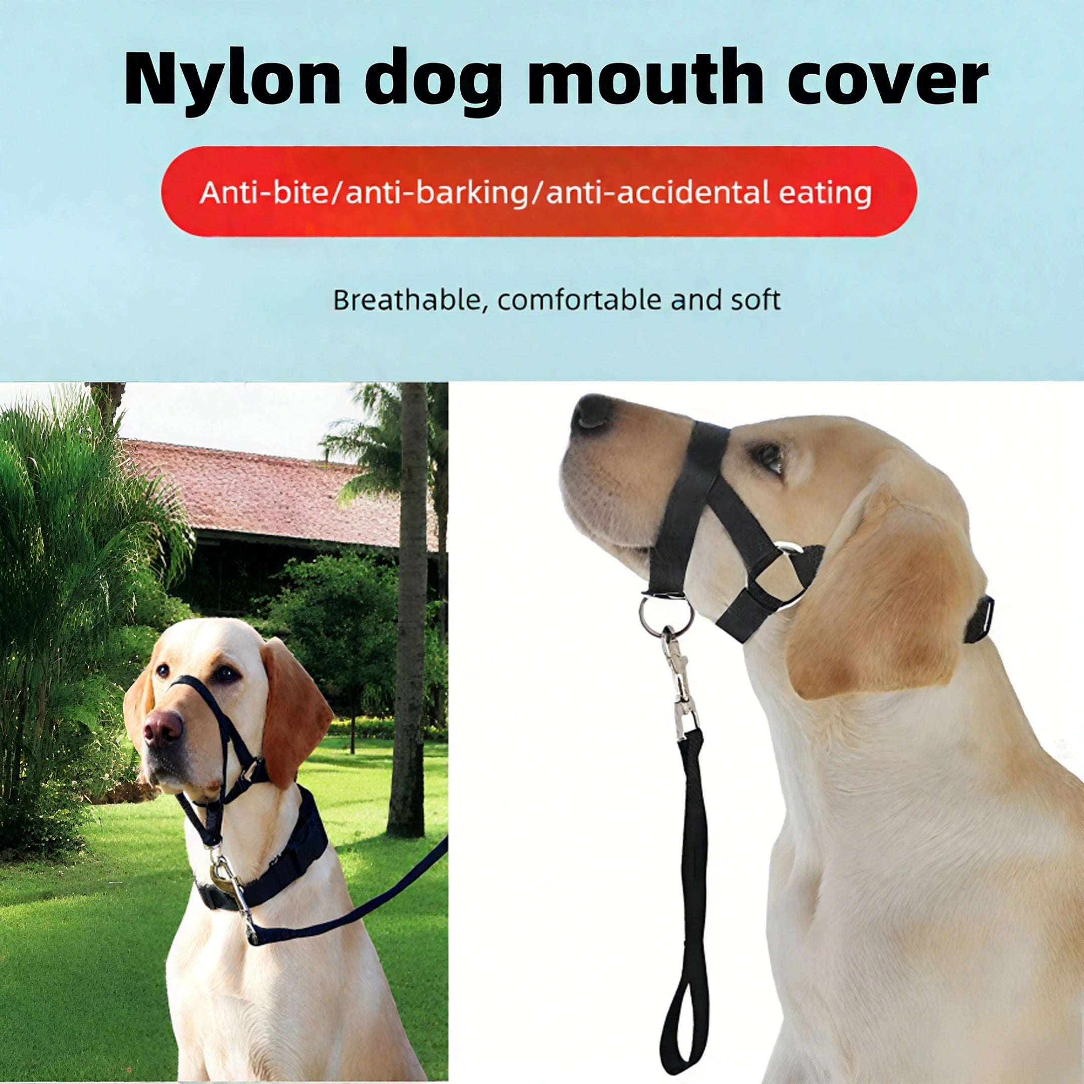 Running Dog Accessories: Adjustable Classic Muzzle Training Halter, Dog Collar With Dog Leash / Rungear