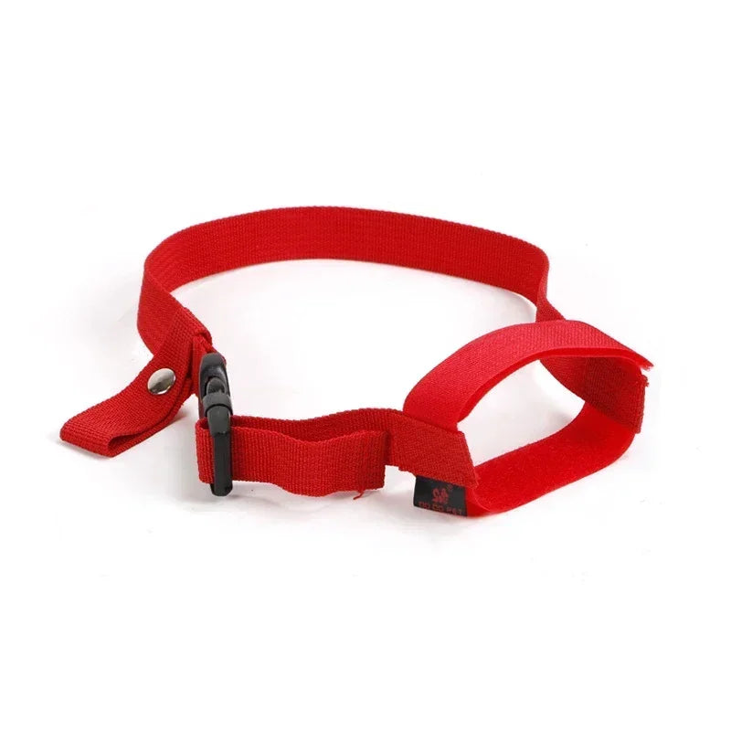Running Dog Gear: Anti-Bite, Anti-Bark, Soft Nylon, Breathable Dog Muzzle With Adjustable Straps For Small Dogs / Rungear