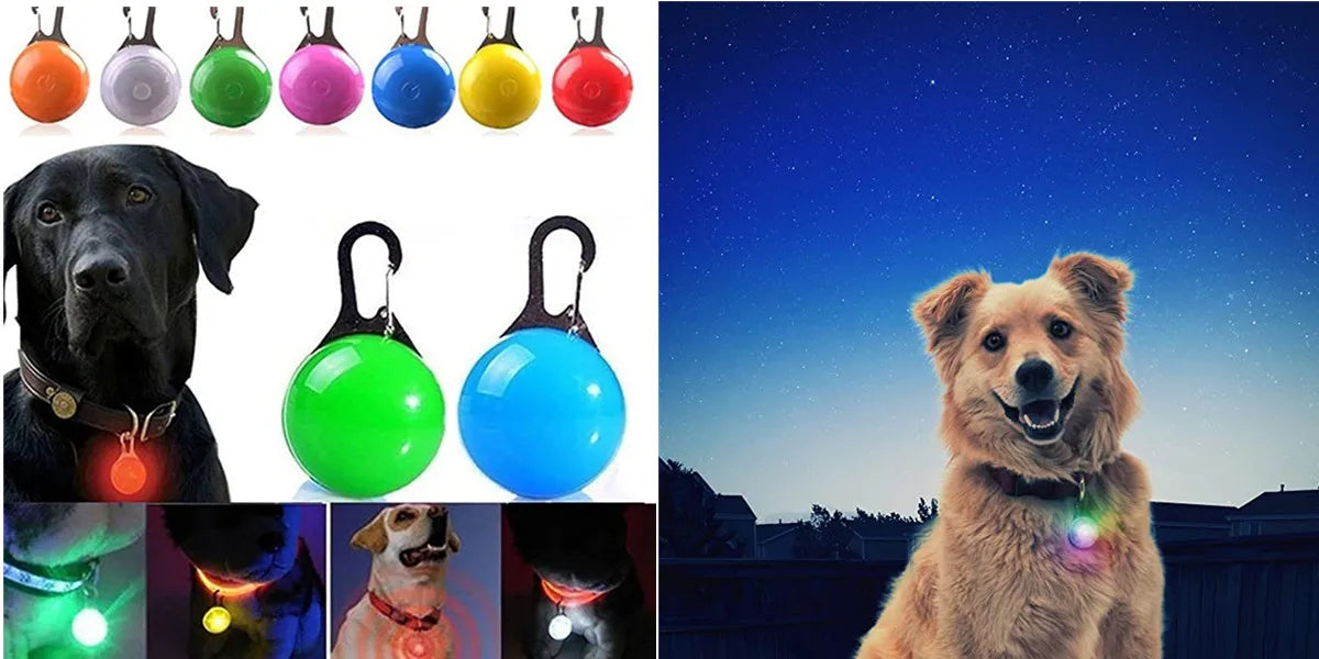 Pet Safety Gear: USB, Adjustable LED Rechargeable Safety Collar For Large Small Dogs / Rungear