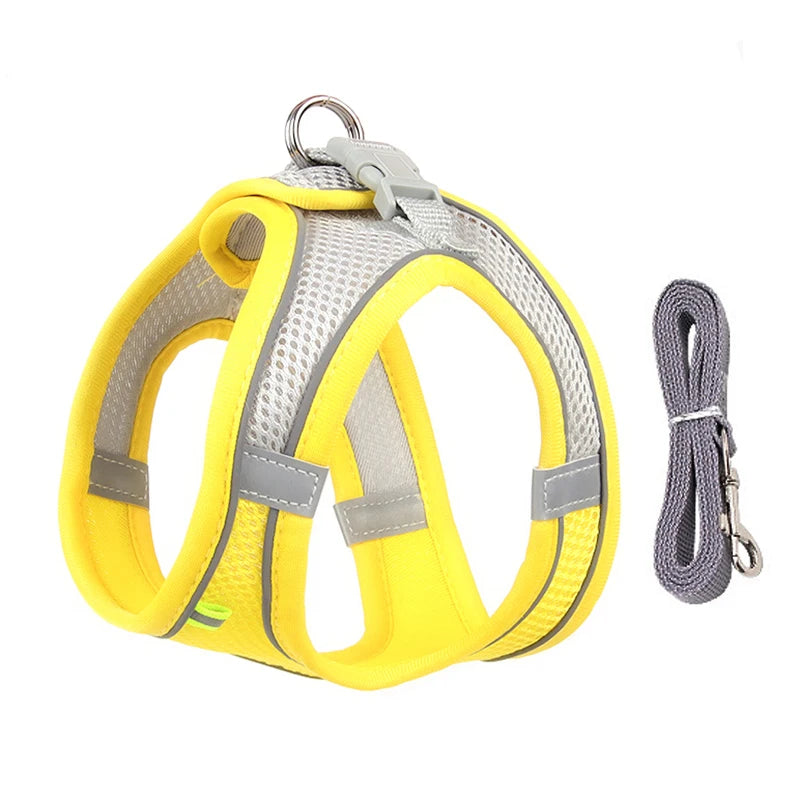 Adjustable Dog Harness Leash Set for Small Dogs