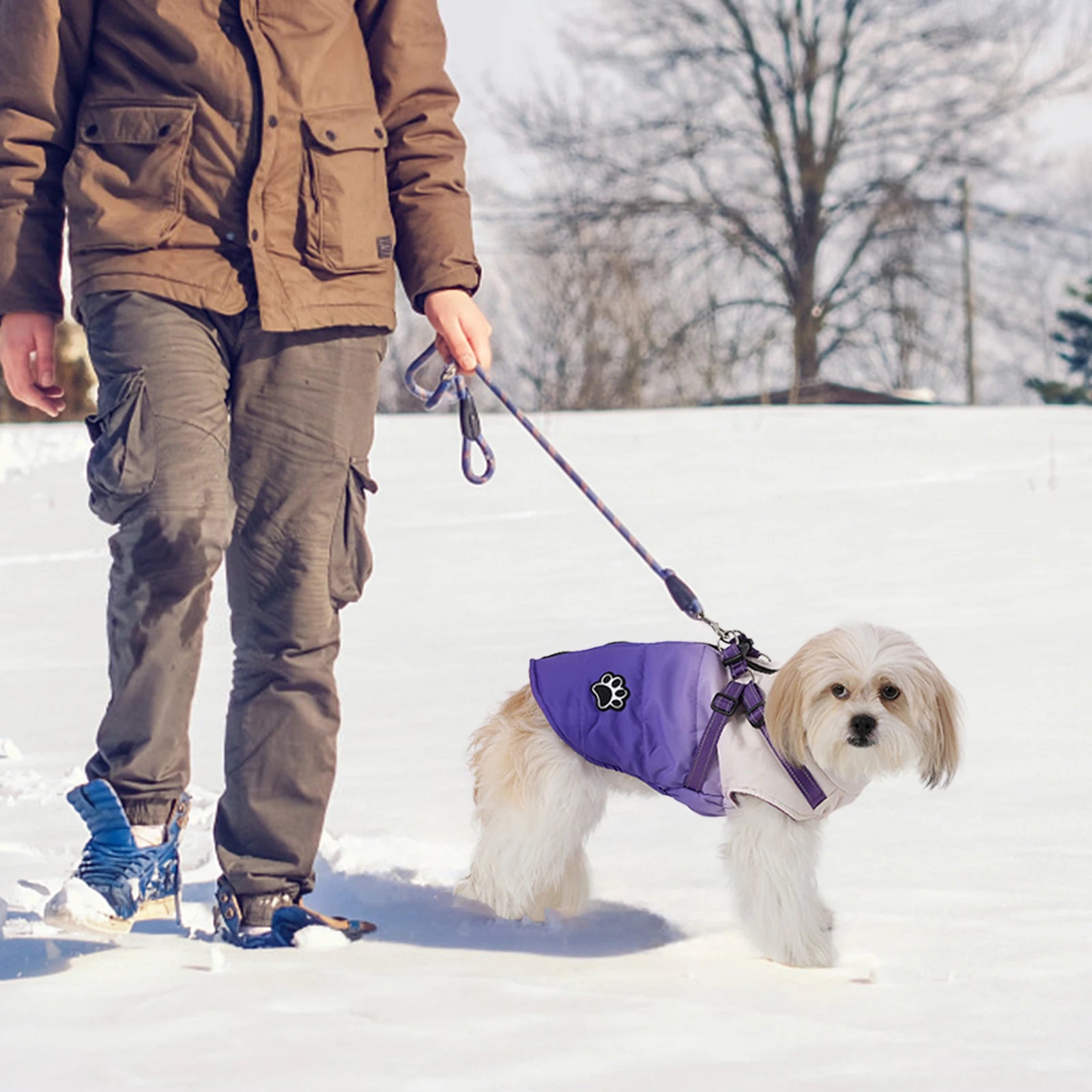 Dog Jacket Accessories: Winter Warm, Reflective, Windproof Harness With Back Zipper / Rungear