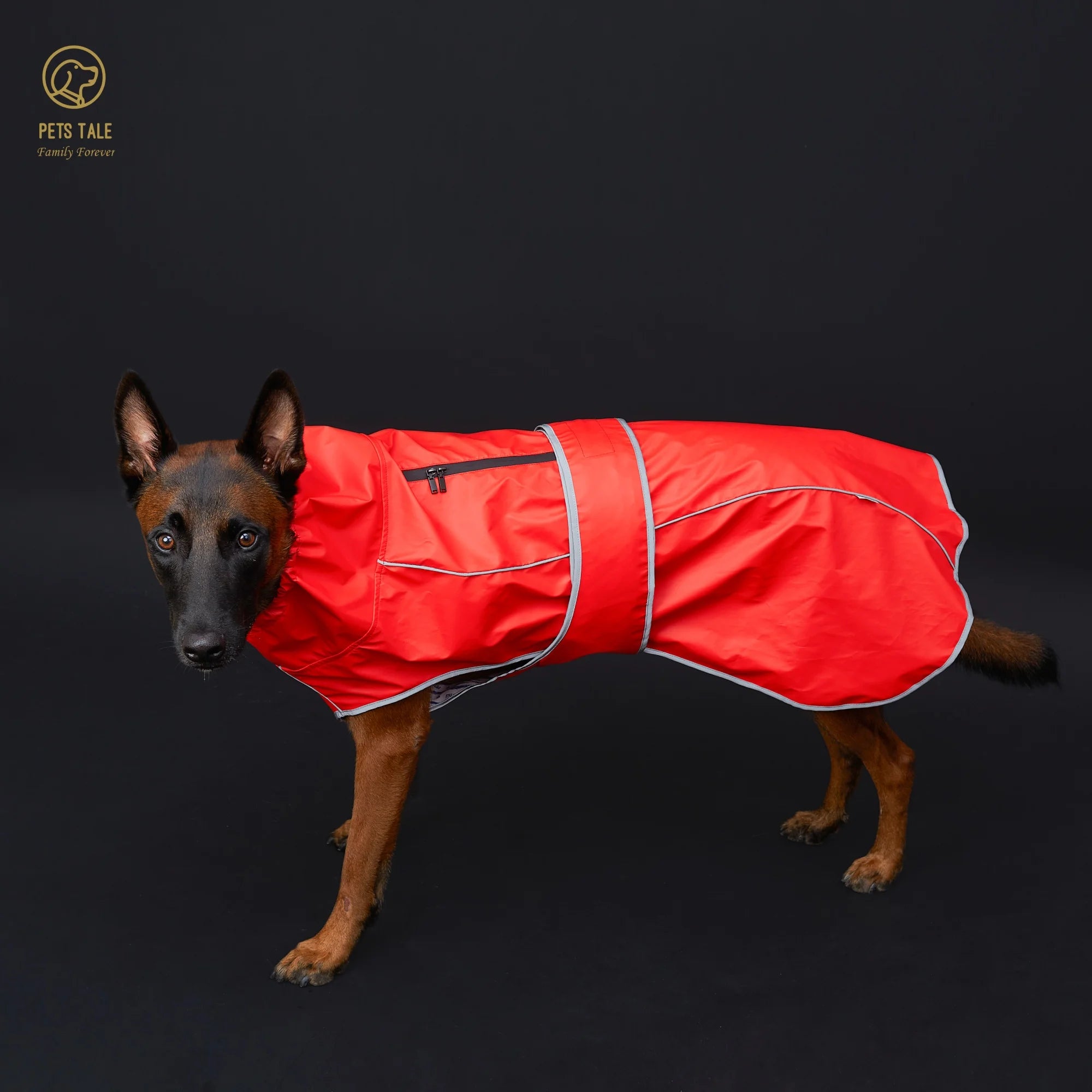 Dog Jacket Gear: Waterproof Raincoat with Reflective Strips and Adjustable Hood / Rungear