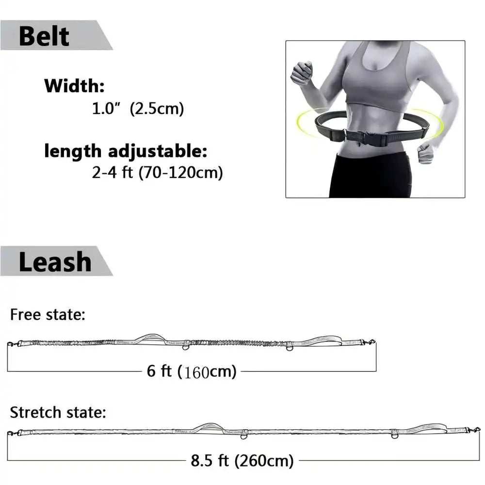 Dog Gear Accessories: Reflective, Hands Free, Retractable Belt Dog Leash with Adjustable Waist Rope For Outdoor Running / Rungear