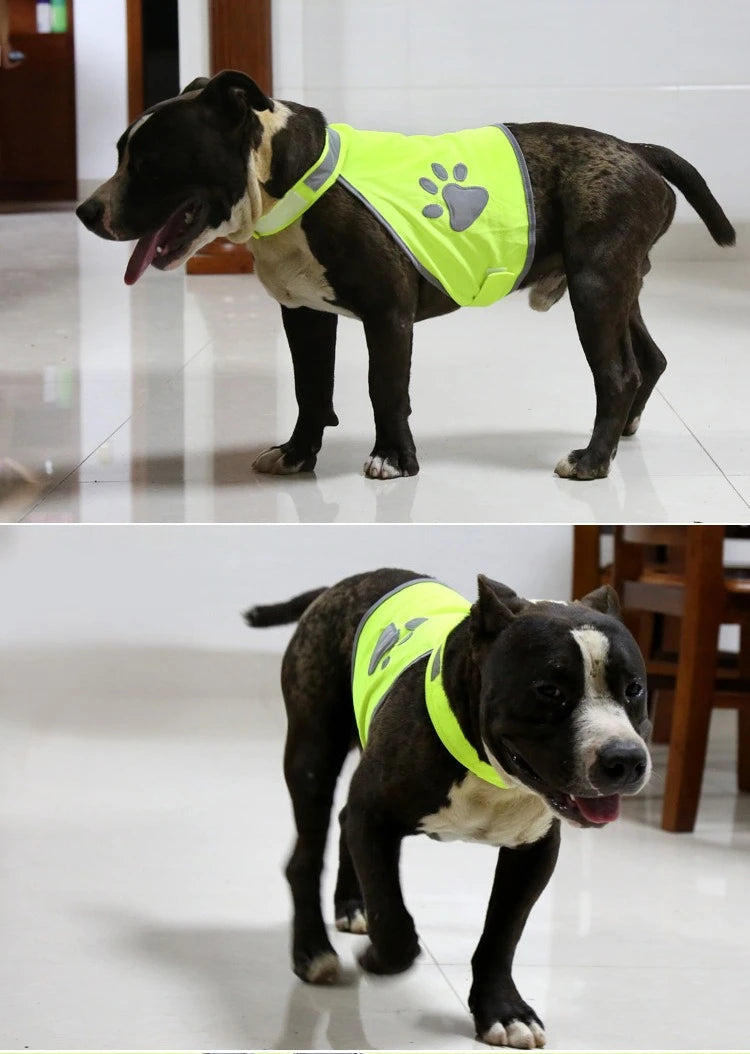 Reflective Dog Gear: Breathable, Safety Outdoor Walking Running Vests For Small, Medium, Large Dogs / Rungear