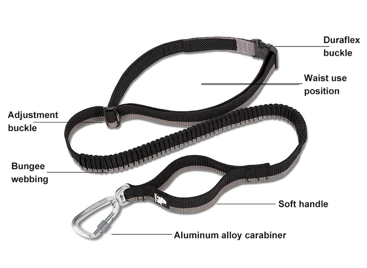 NEW Pet Hands-Free Reflective Stitching Bungee Leash For Medium to Large Dogs With Carabiner