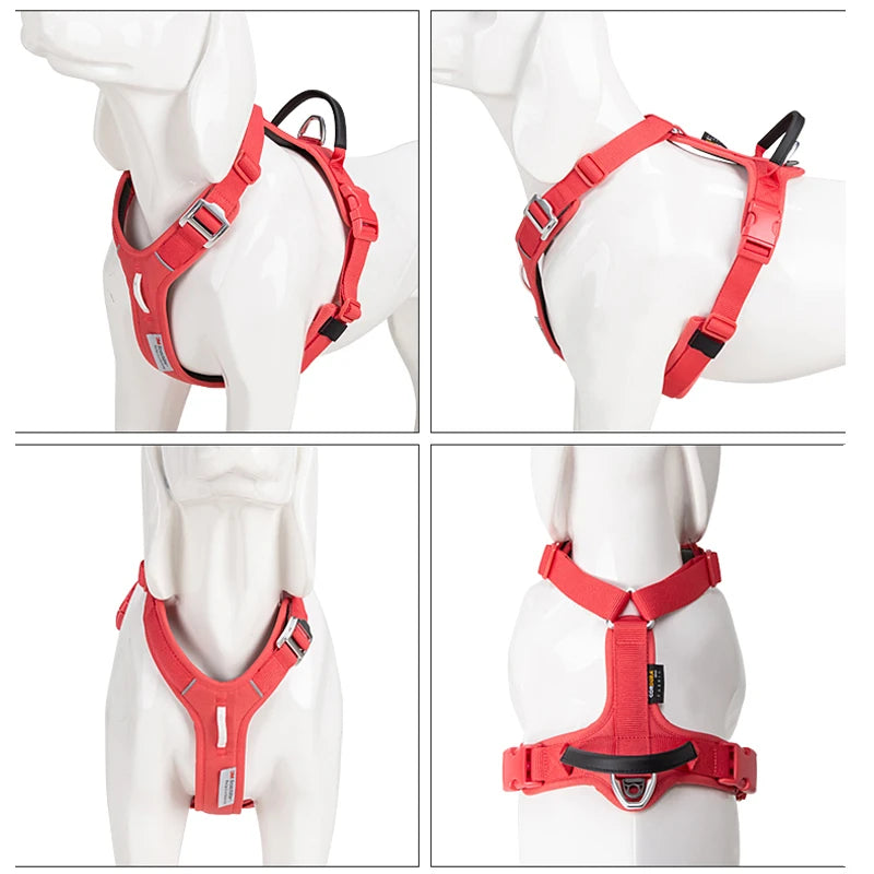 Dog Gear Accessories: SMALL COMBINATION No Pull, Nylon, Adjustable, Reflective, Comfortable, Dog Control Harness / Rungear