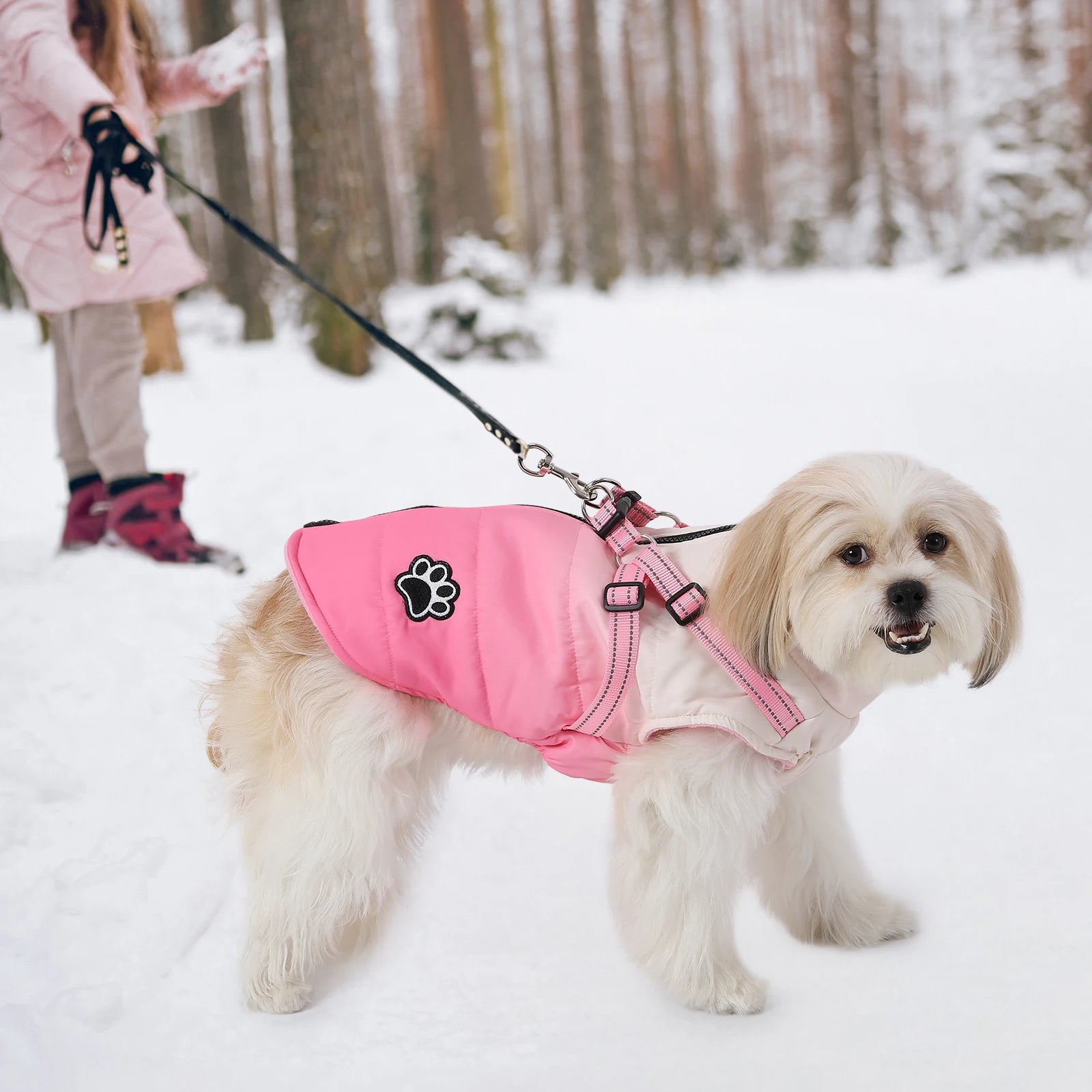 Dog Jacket Accessories: Winter Warm, Reflective, Windproof Harness With Back Zipper / Rungear
