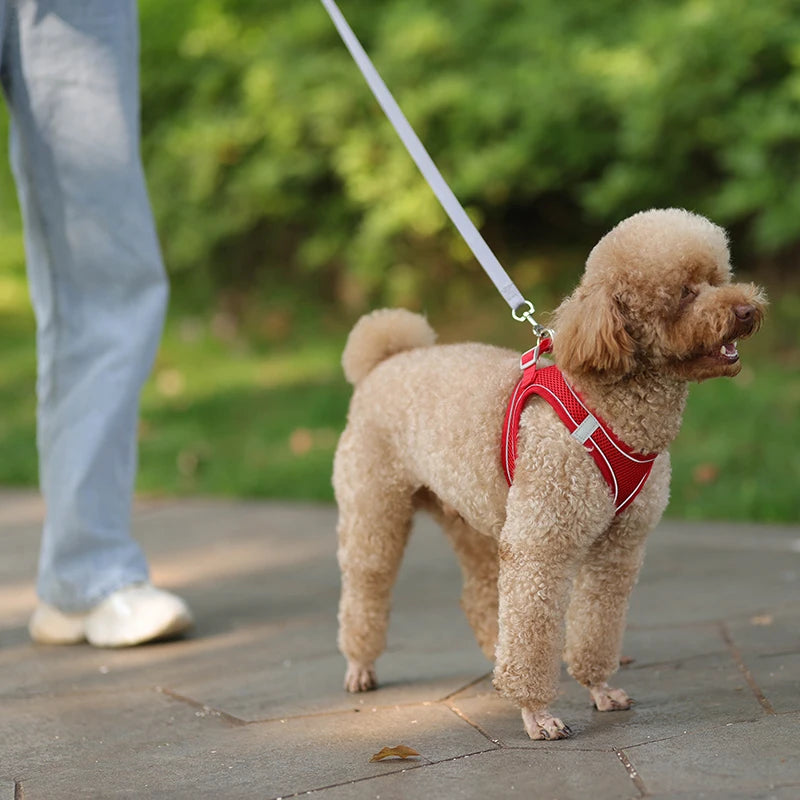 Adjustable Dog Harness Leash Set for Small Dogs