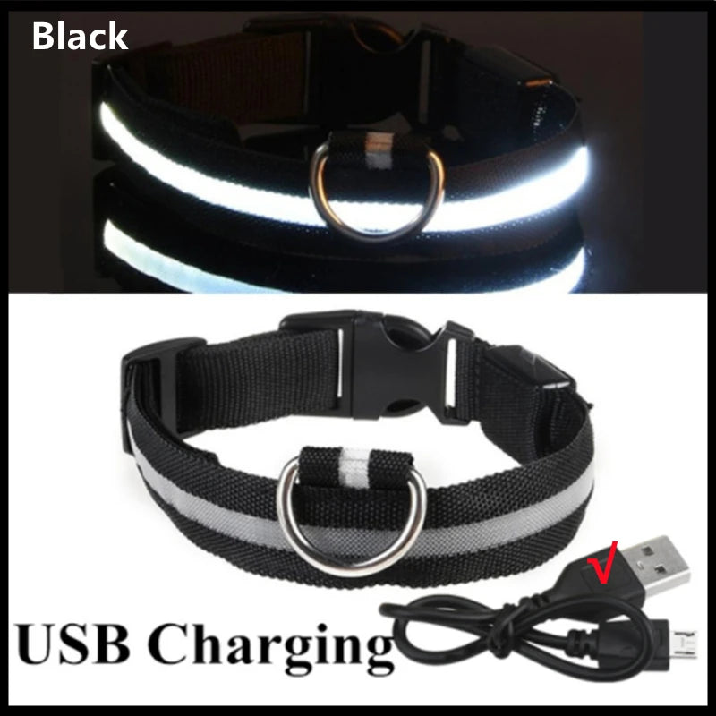 Pet Safety Gear: USB, Adjustable LED Rechargeable Safety Collar For Large Small Dogs / Rungear