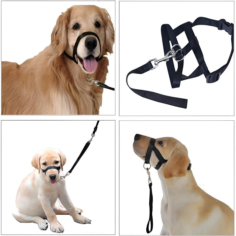 Running Dog Accessories: Adjustable Classic Muzzle Training Halter, Dog Collar With Dog Leash / Rungear