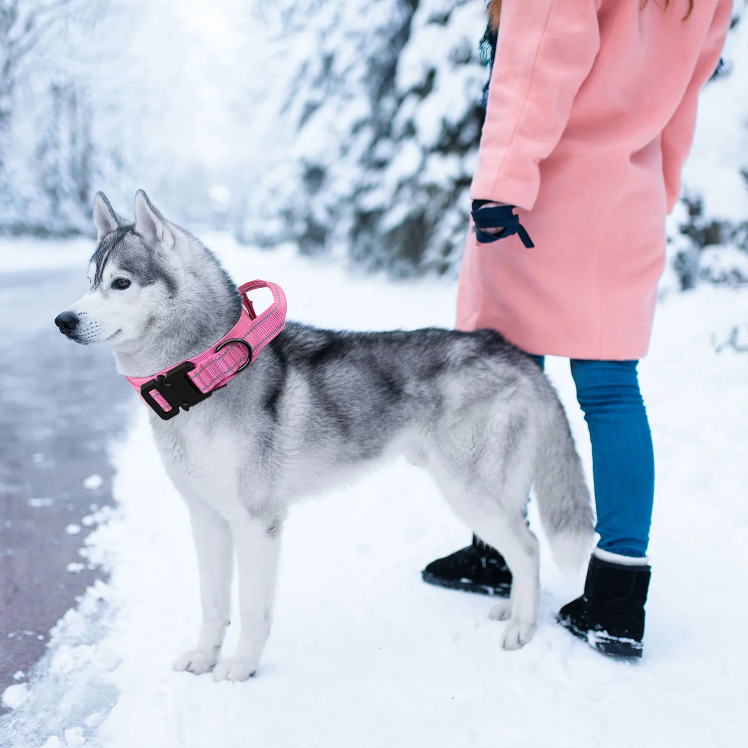 Reflective Dog Collars: Adjustable, Reflective, Quick Release, Nylon Training Dog Collar With Handle / Rungear