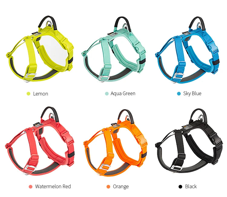Dog Gear Accessories: SMALL COMBINATION No Pull, Nylon, Adjustable, Reflective, Comfortable, Dog Control Harness / Rungear