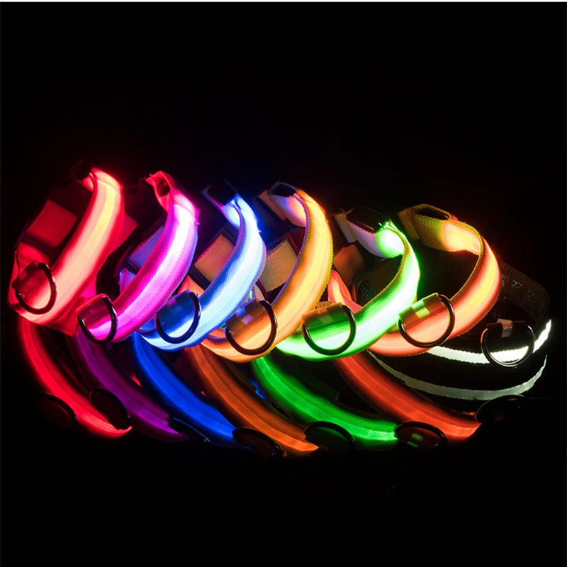Pet Safety Gear: USB, Adjustable LED Rechargeable Safety Collar For Large Small Dogs / Rungear
