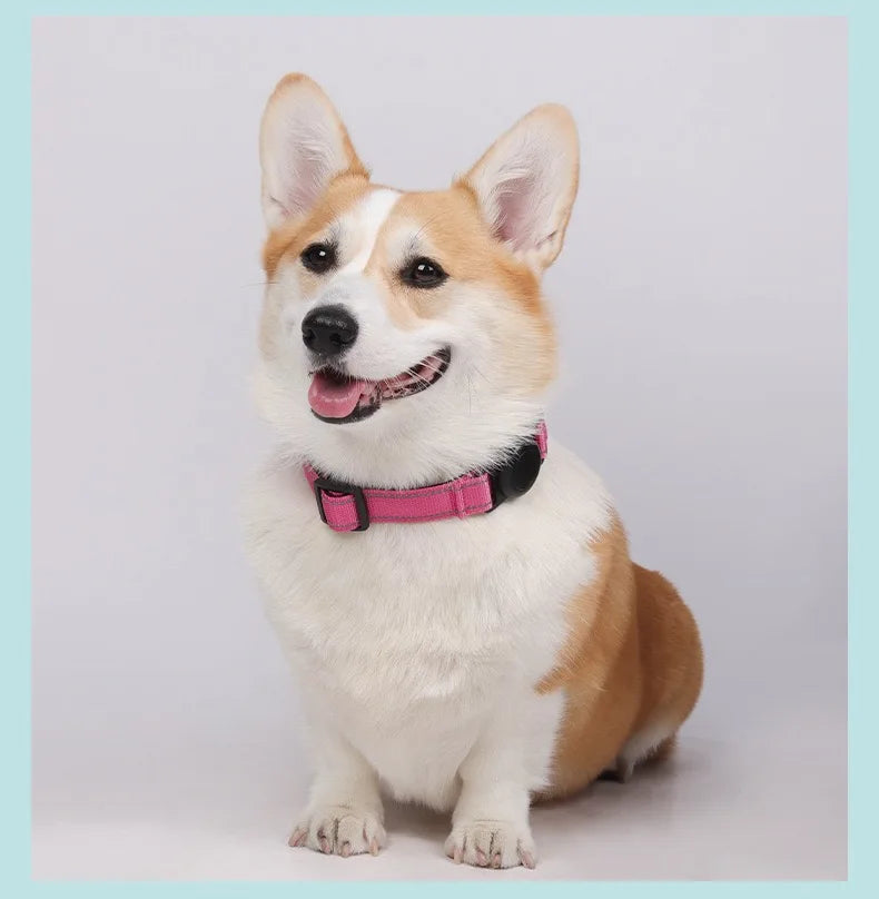 Reflective Adjustable AirTag Pet Collar with Buckle for Medium Dogs
