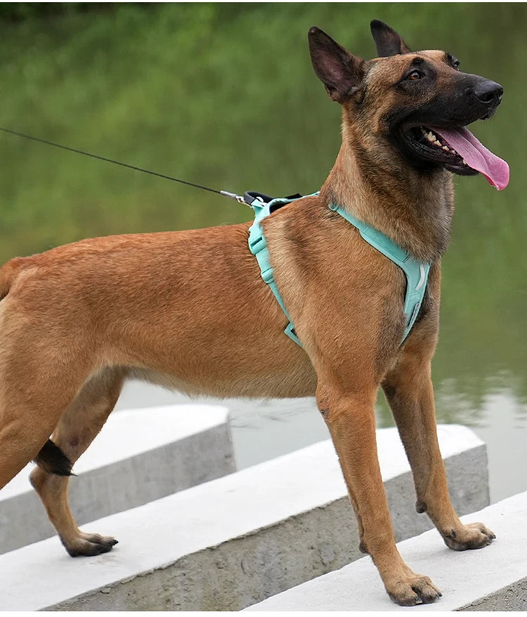 Dog Gear Accessories: SMALL COMBINATION No Pull, Nylon, Adjustable, Reflective, Comfortable, Dog Control Harness / Rungear