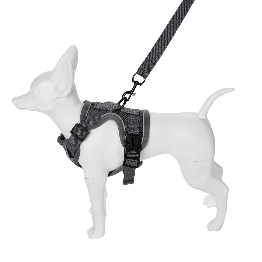Reflective Running Dog Gear: Adjustable Harness Vest And Leash Set For Small To Medium Dogs / Rungear NZ