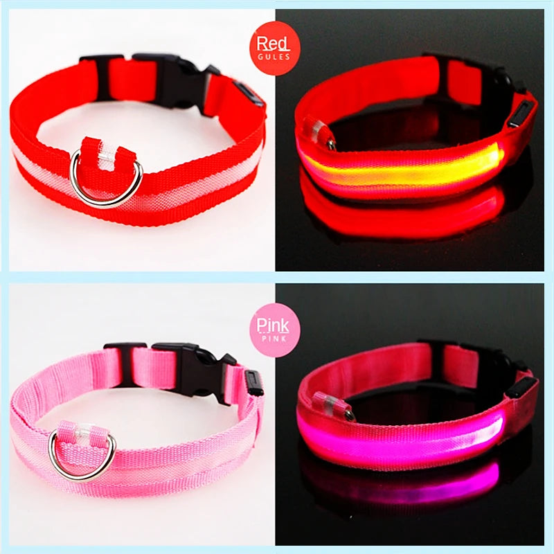 Pet Safety Gear: USB, Adjustable LED Rechargeable Safety Collar For Large Small Dogs / Rungear
