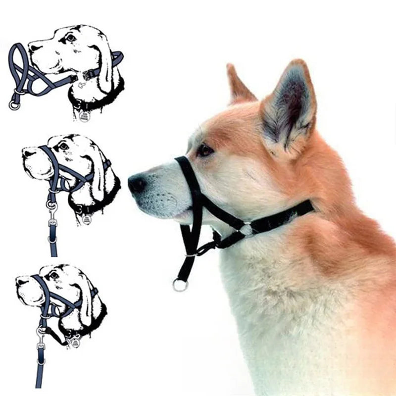 Running Dog Accessories: Adjustable Classic Muzzle Training Halter, Dog Collar With Dog Leash / Rungear