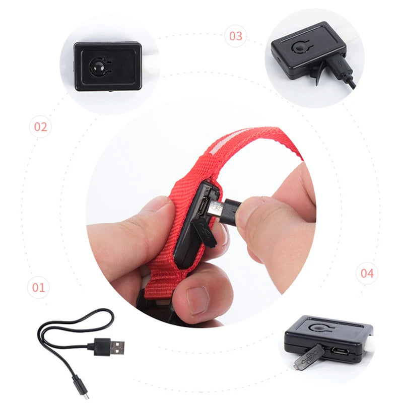 Pet Safety Gear: USB, Adjustable LED Rechargeable Safety Collar For Large Small Dogs / Rungear