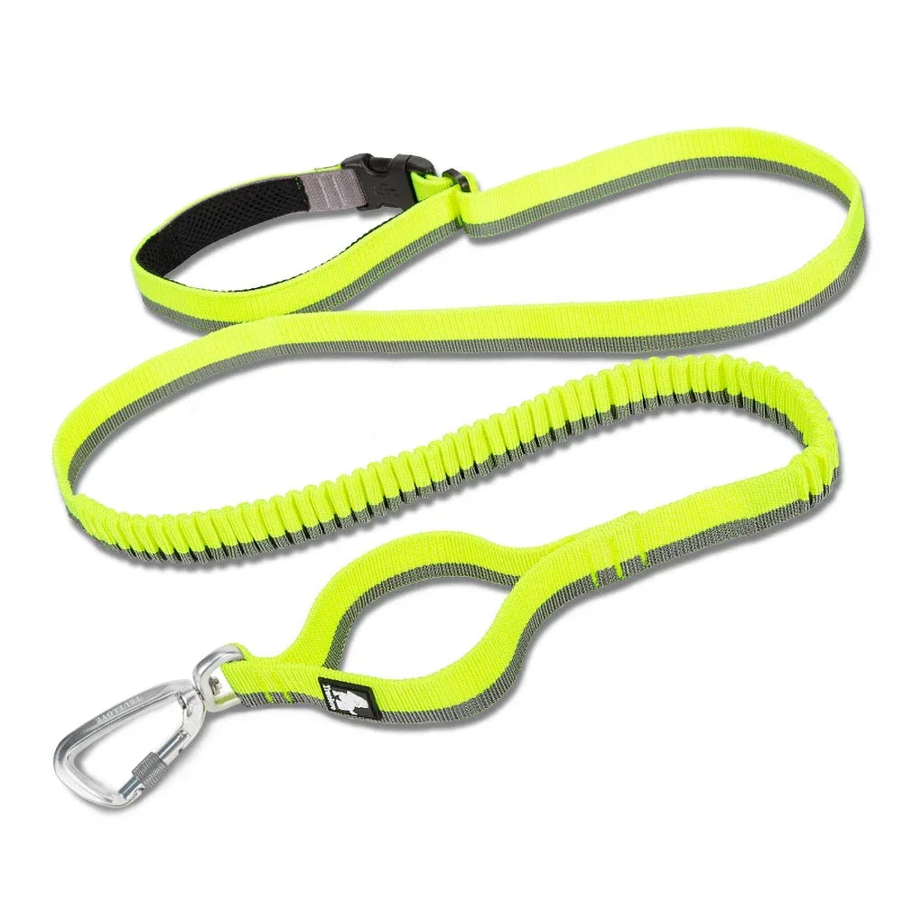 NEW Pet Hands-Free Reflective Stitching Bungee Leash For Medium to Large Dogs With Carabiner