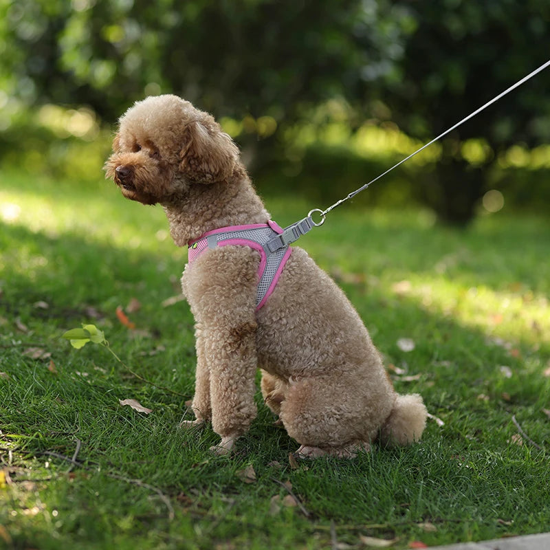 Adjustable Dog Harness Leash Set for Small Dogs