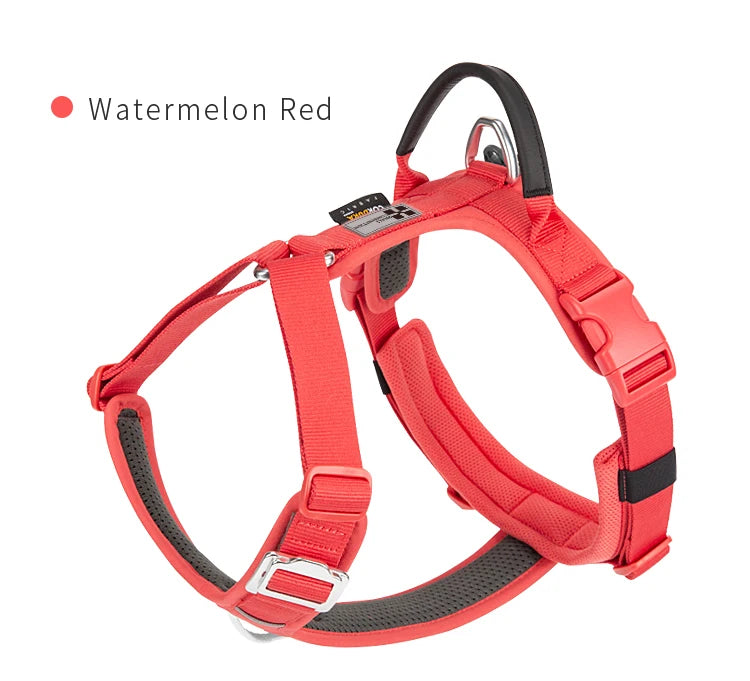 Dog Gear Accessories: SMALL COMBINATION No Pull, Nylon, Adjustable, Reflective, Comfortable, Dog Control Harness / Rungear