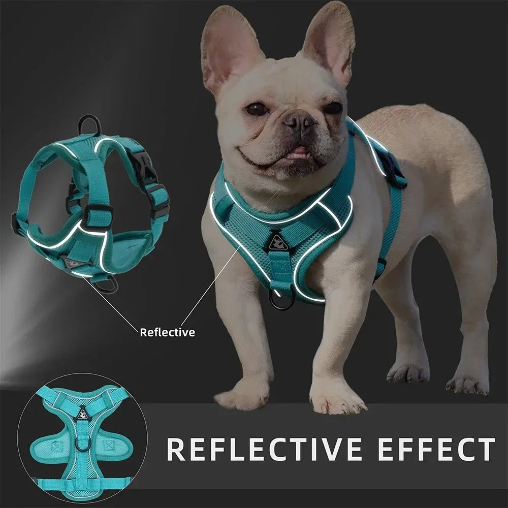 Dog Halter Accessories: Adjustable, Reflective, No Pull Dog Harness Vest and Leash Set for Small Dogs / Rungear