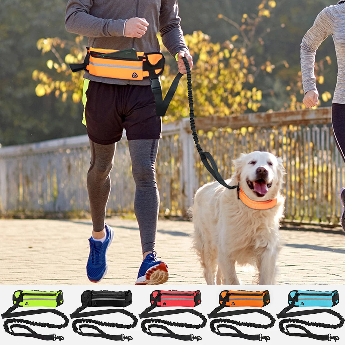 Dog Gear Accessories: Reflective, Retractable, Hands Free Dog Leash with Waist Bag for Running, Hiking / Rungear