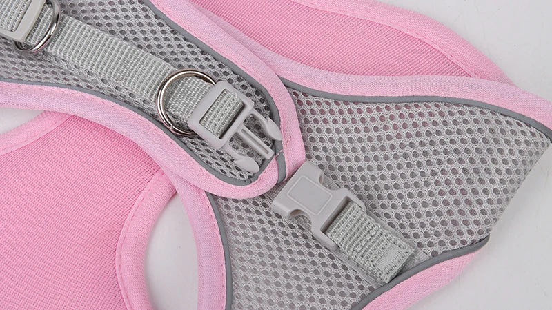 Adjustable Dog Harness Leash Set for Small Dogs