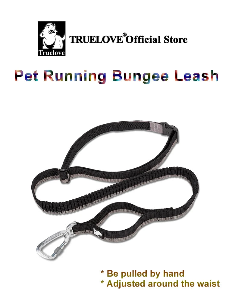 NEW Pet Hands-Free Reflective Stitching Bungee Leash For Medium to Large Dogs With Carabiner