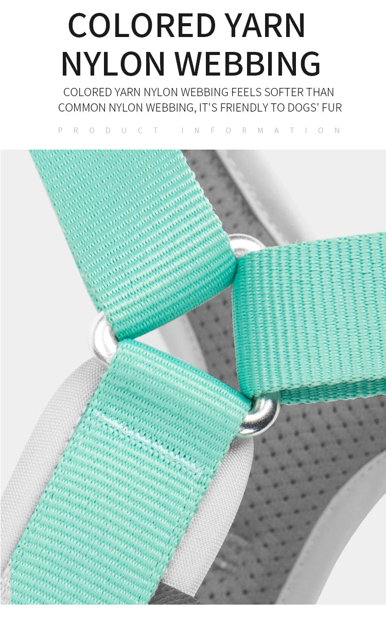 Dog Gear Accessories: SMALL COMBINATION No Pull, Nylon, Adjustable, Reflective, Comfortable, Dog Control Harness / Rungear