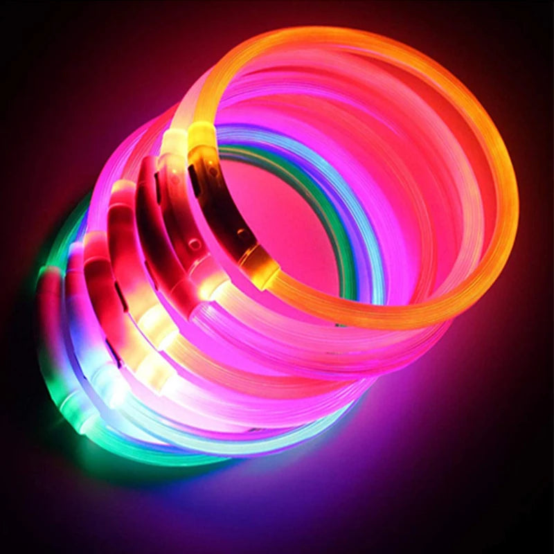 Pet Safety Gear: USB, Adjustable LED Rechargeable Safety Collar For Large Small Dogs / Rungear