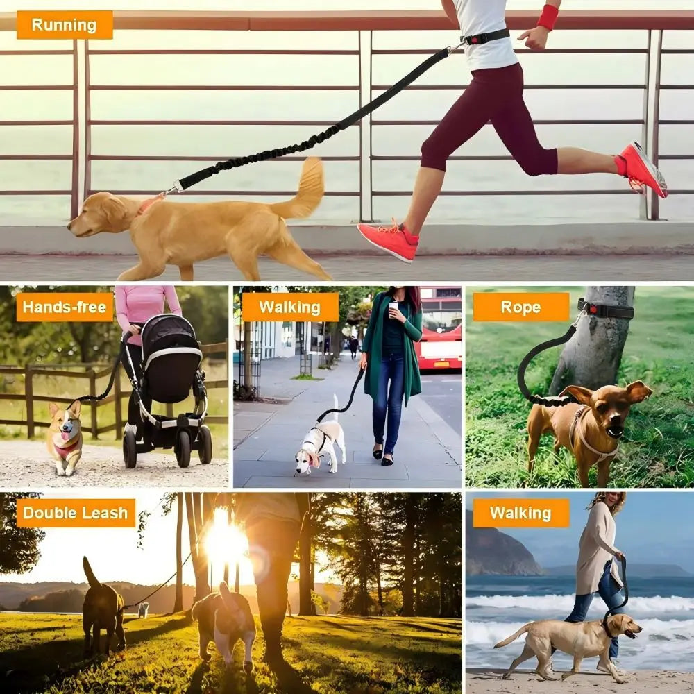Dog Gear Accessories: Reflective, Hands Free, Retractable Belt Dog Leash with Adjustable Waist Rope For Outdoor Running / Rungear