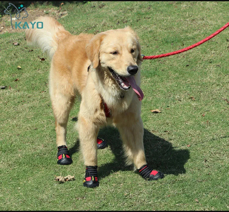 Dog Boots 4-Pack | Waterproof & Breathable, Anti-Slip Rubber Sole, Reflective Velcro Straps | Sizes 1–8 | RUNGEAR
