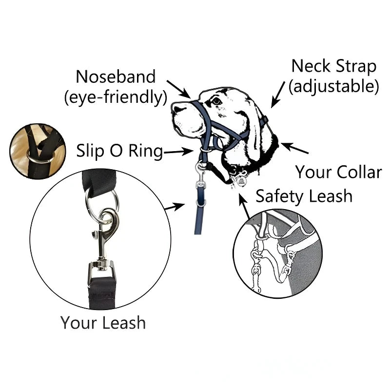 Running Dog Accessories: Adjustable Classic Muzzle Training Halter, Dog Collar With Dog Leash / Rungear