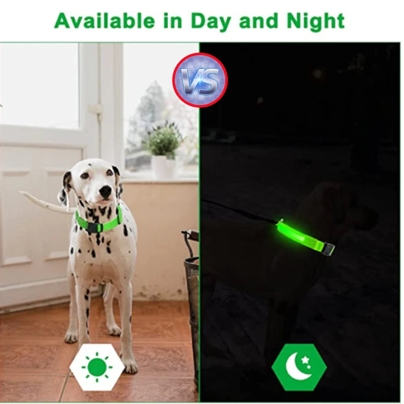 Pet Safety Gear: USB, Adjustable LED Rechargeable Safety Collar For Large Small Dogs / Rungear