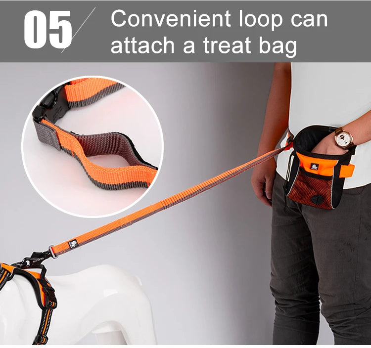 NEW Pet Hands-Free Reflective Stitching Bungee Leash For Medium to Large Dogs With Carabiner