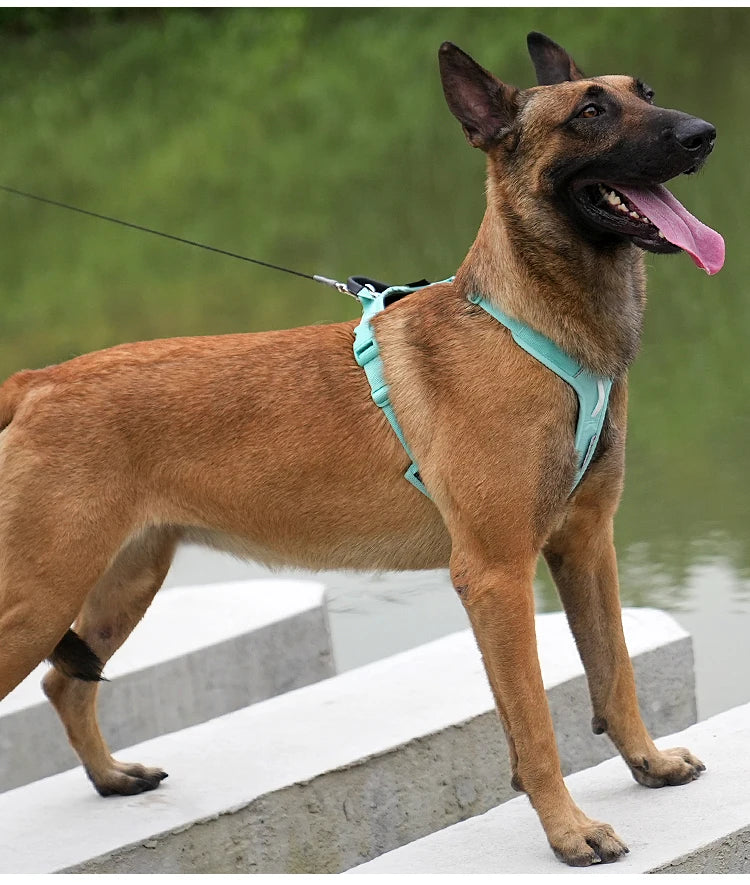 Dog Gear Accessories: SMALL COMBINATION No Pull, Nylon, Adjustable, Reflective, Comfortable, Dog Control Harness / Rungear