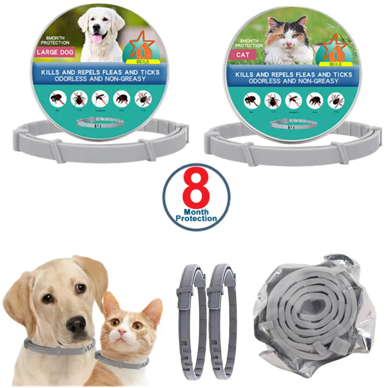 Pet Safety Gear: USB, Adjustable LED Rechargeable Safety Collar For Large Small Dogs / Rungear