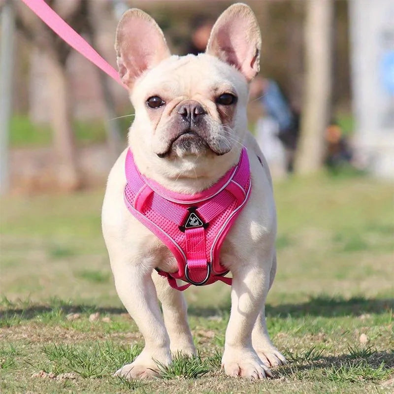 Dog Halter Accessories: Adjustable, Reflective, No Pull Dog Harness Vest and Leash Set for Small Dogs / Rungear