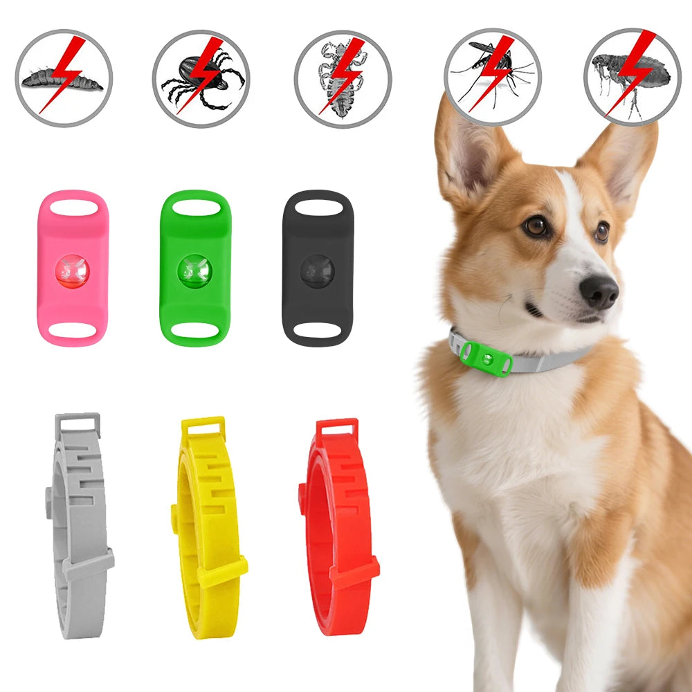 Dog Gear Accessories: Reflective, Hands Free, Retractable Belt Dog Leash with Adjustable Waist Rope For Outdoor Running / Rungear