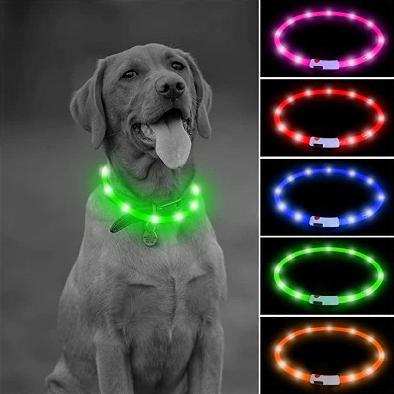 Pet Safety Gear: USB, Adjustable LED Rechargeable Safety Collar For Large Small Dogs / Rungear