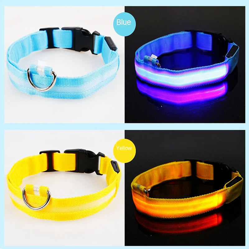 Pet Safety Gear: USB, Adjustable LED Rechargeable Safety Collar For Large Small Dogs / Rungear